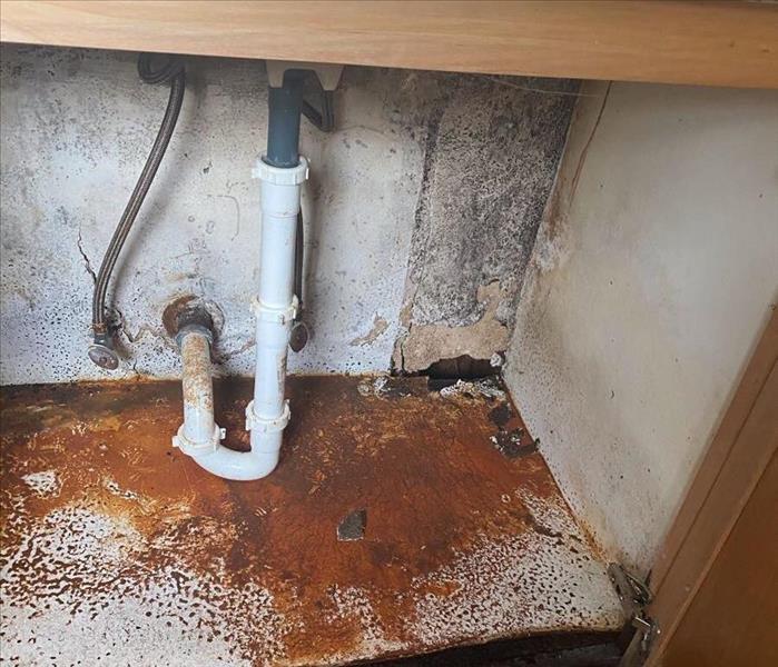 Under sink with pipe and brown color in bottom of cabinet