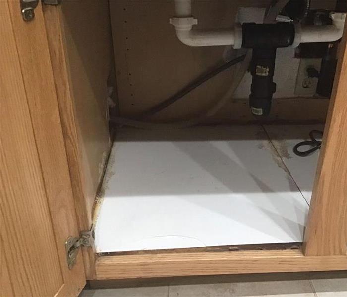 cabinet under sink displaying pipe lines, and some mold on the lining of the cabinet