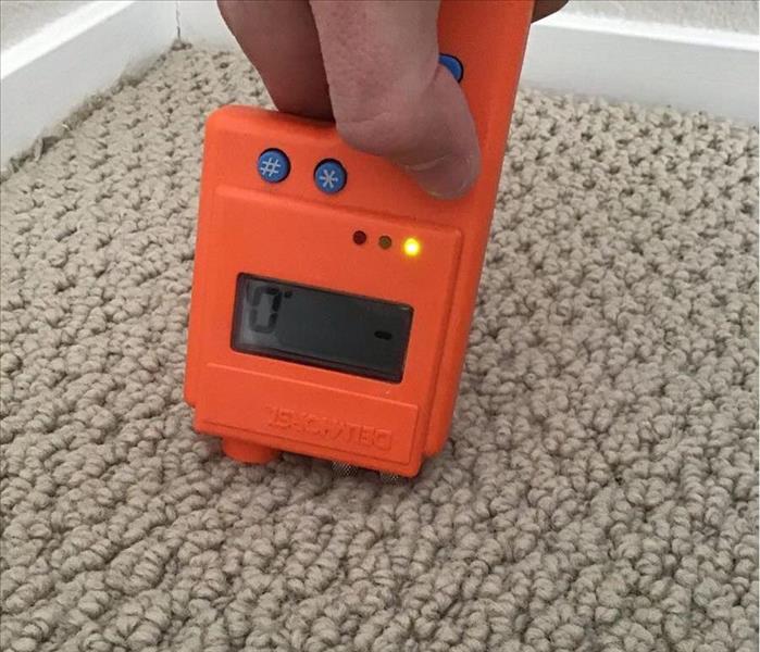 hand holding a device pointing down towards carpet to test water levels