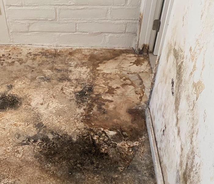 white wall room with mold, heavily damaged and brown on floor and walls