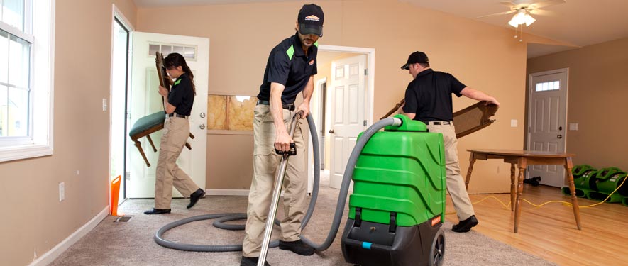 El Dorado Hills, CA cleaning services