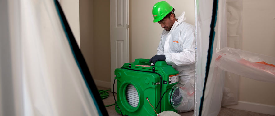 El Dorado Hills, CA mold cleanup