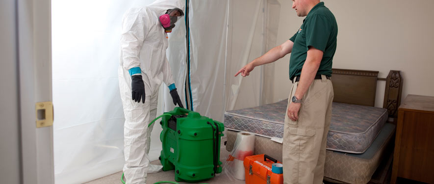 El Dorado Hills, CA mold removal process